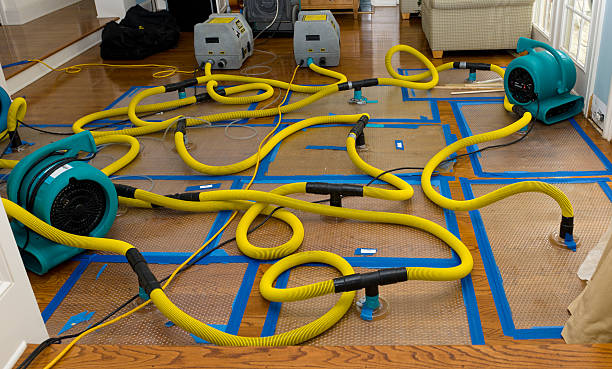Professional Structural Drying And Dehumidification technician working in Klamath, CA